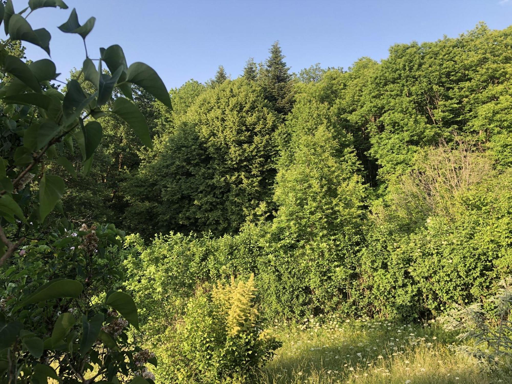 Gite De La Colombiere La Grande-Verrière Kültér fotó